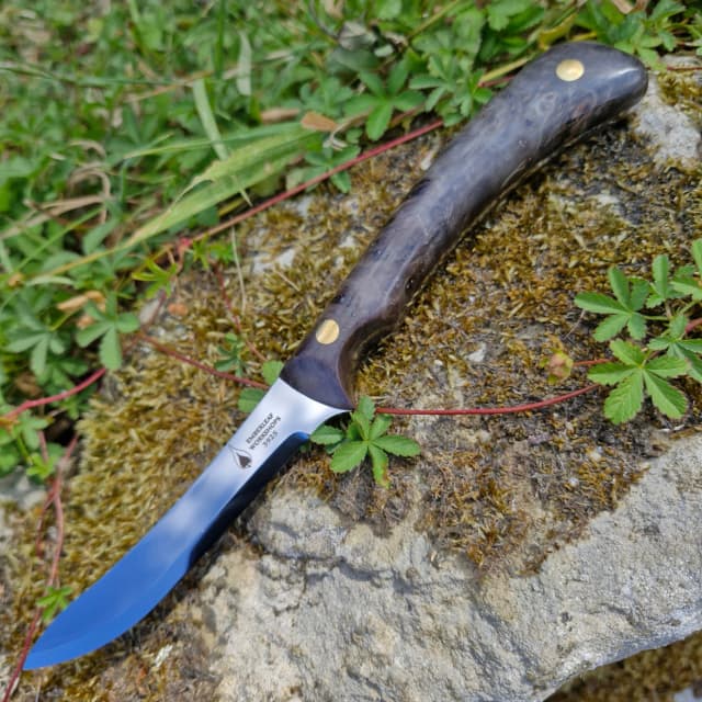Cael AR v2