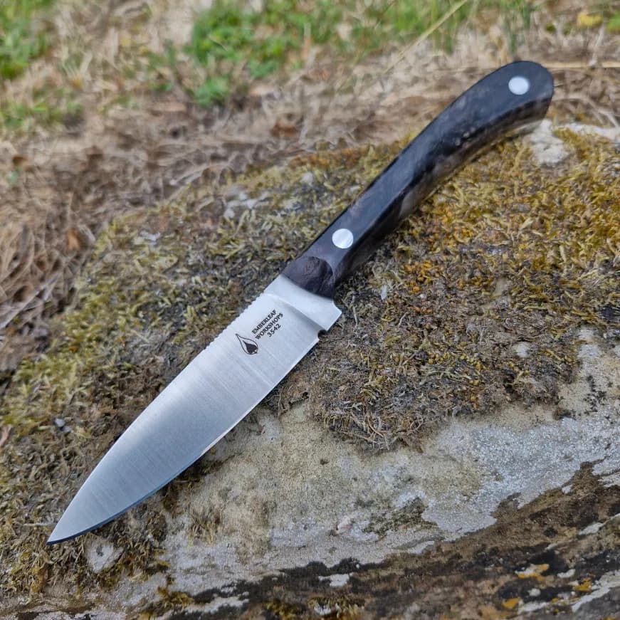 Ventari v2 view 1