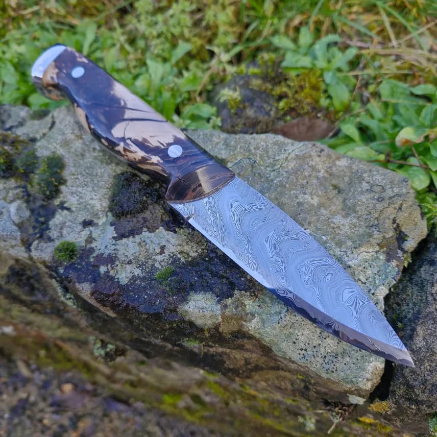 Bran v1 Special Edition view 3