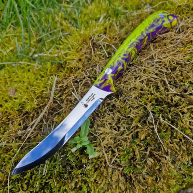 Cael AR v2