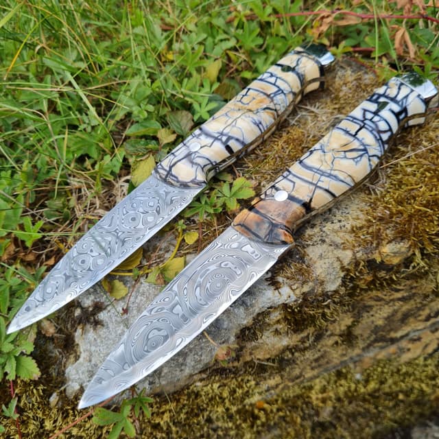 Pair of Bran v1 Special Edition