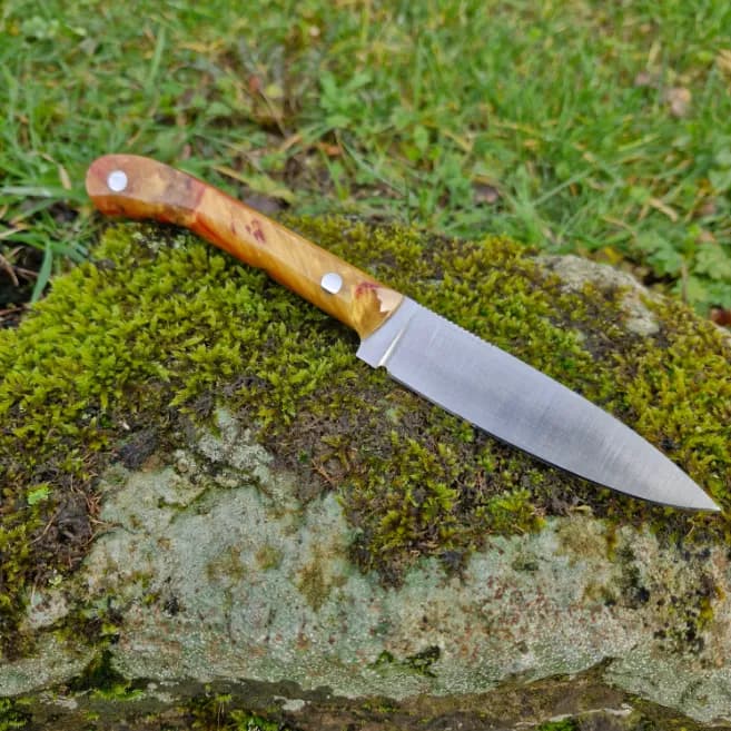 Ventari v2 view 2