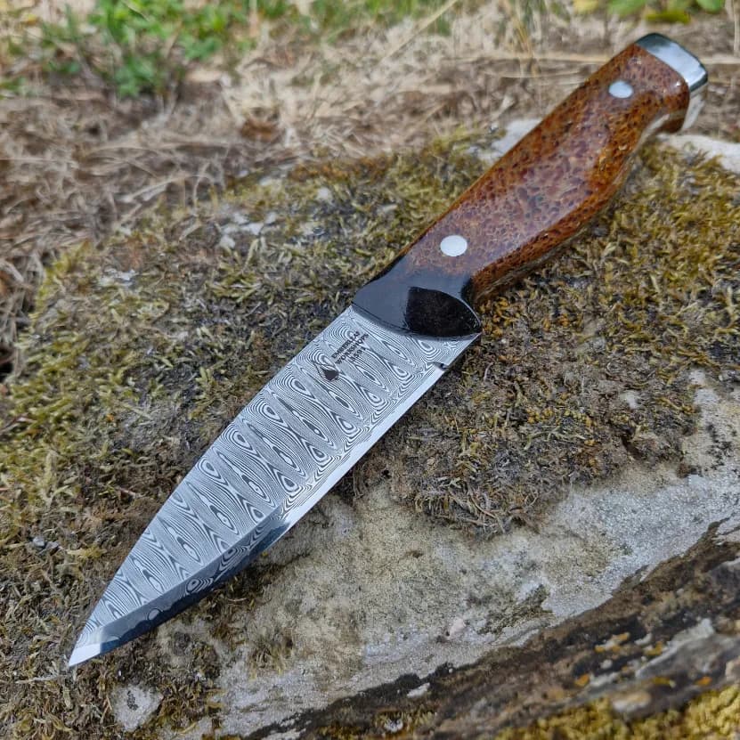 Bran v1 Special Edition view 1