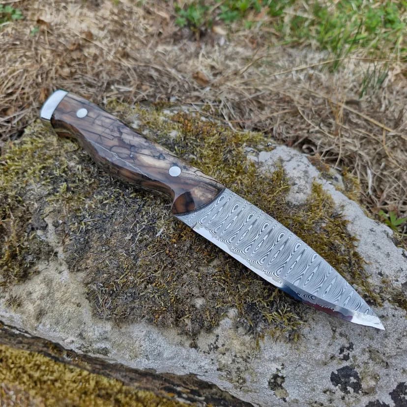 Bran v1 Special Edition view 2