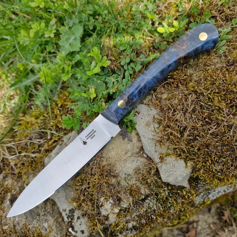 Ventari v1 view 1