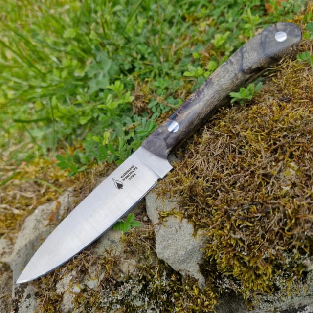 Ventari v2