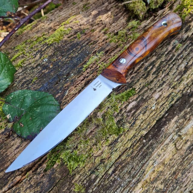 Garron v1