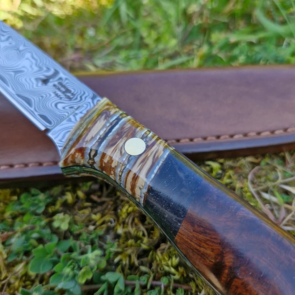 Garron v1 Special Edition view 3