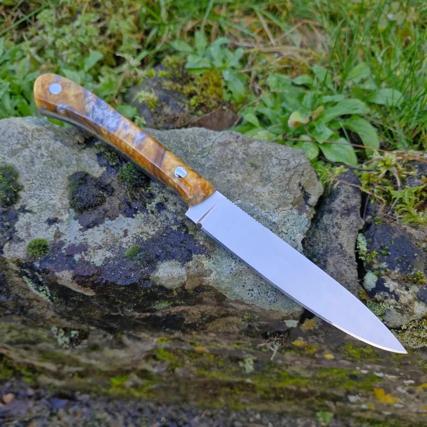 Ventari v1 view 2