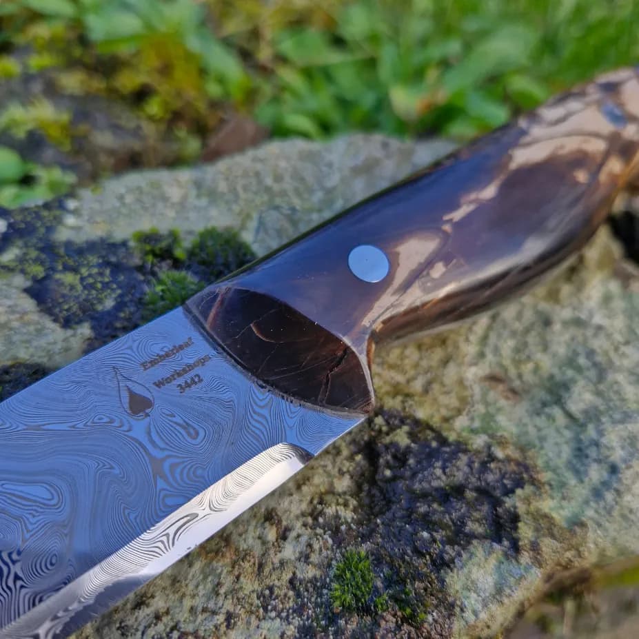Bran v1 Special Edition view 2