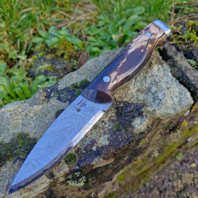 Bran v1 Special Edition view 1