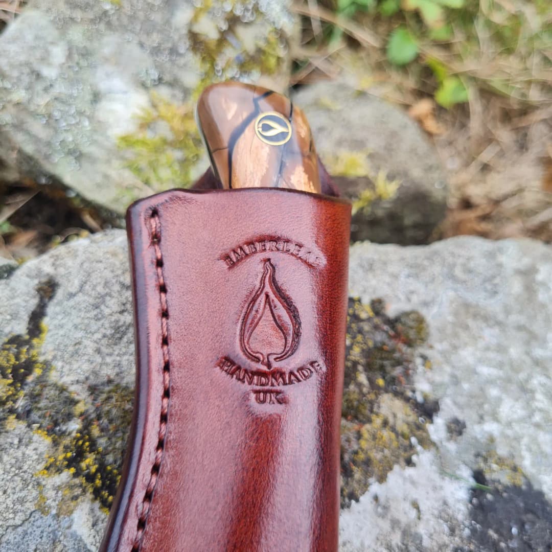 Cael v2 Special Edition view 5