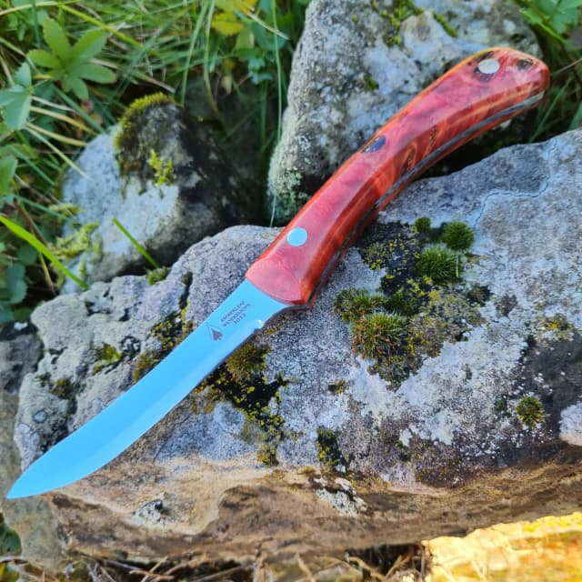 Cael AR v1