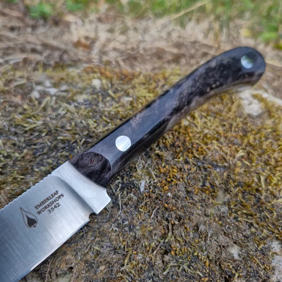 Ventari v2 view 2