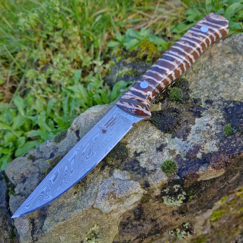 Garron v2 Special Edition view 1
