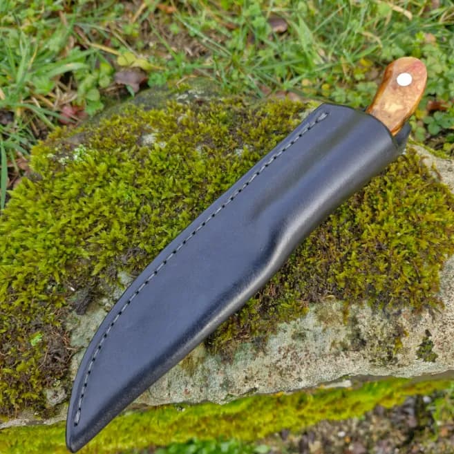 Ventari v2 view 3