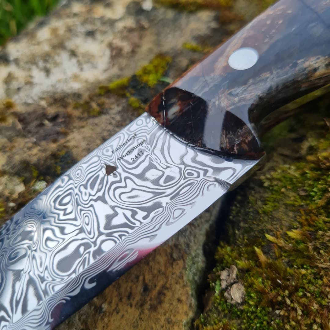 Bran v2 Special Edition view 2