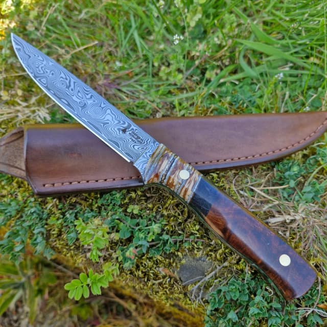 Garron v1 Special Edition