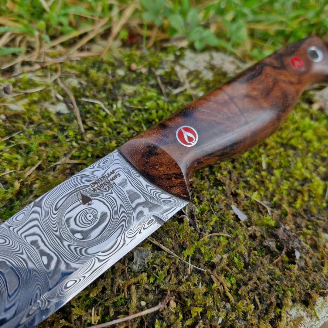 Bran v2 Special Edition view 2