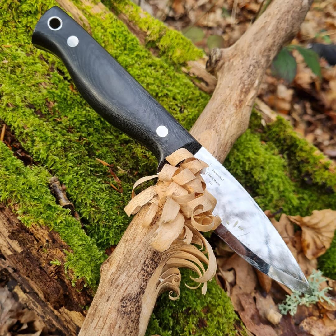 A SERE Edition Bran with a black Micarta handle resting on a branch carved into a feather stick, curls of wood at the blade